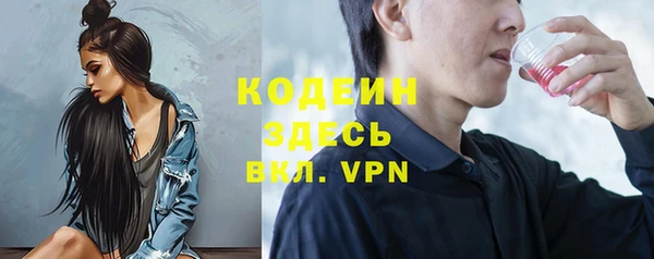 гидра Вяземский