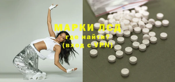 гидра Вяземский