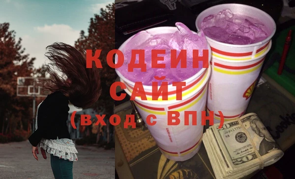 гидра Вяземский