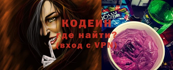 гидра Вяземский