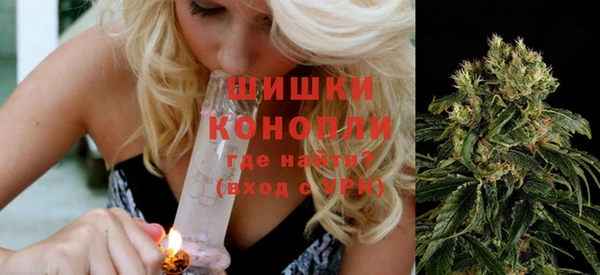 гидра Вяземский