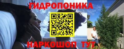 ALPHA PVP Заволжье