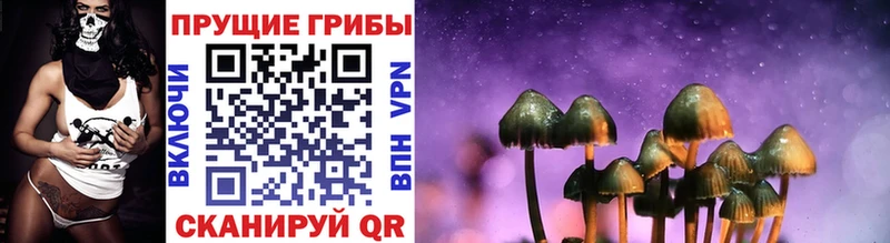 Галлюциногенные грибы Psilocybe  Мценск 